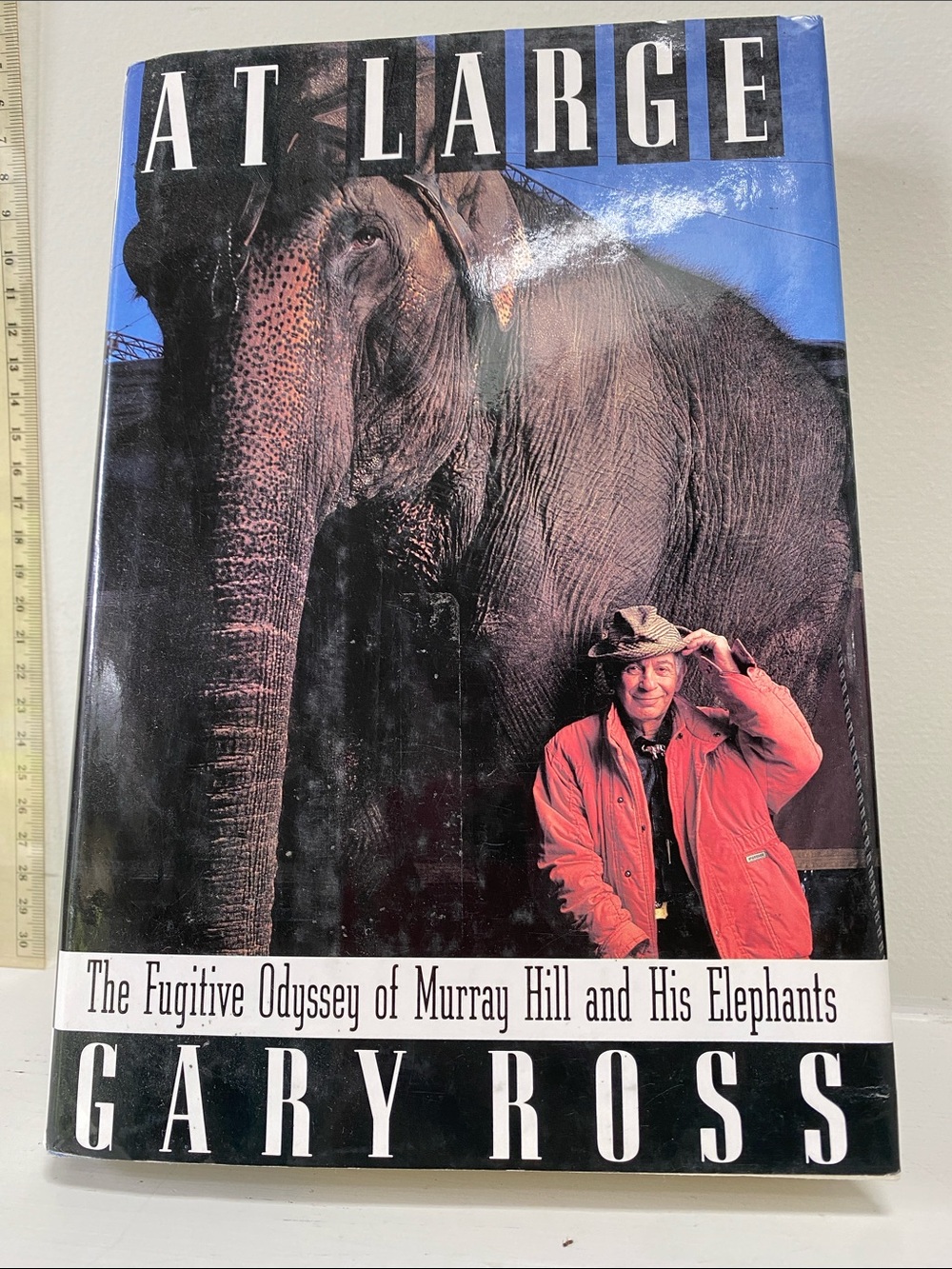 At Large by Gary Ross